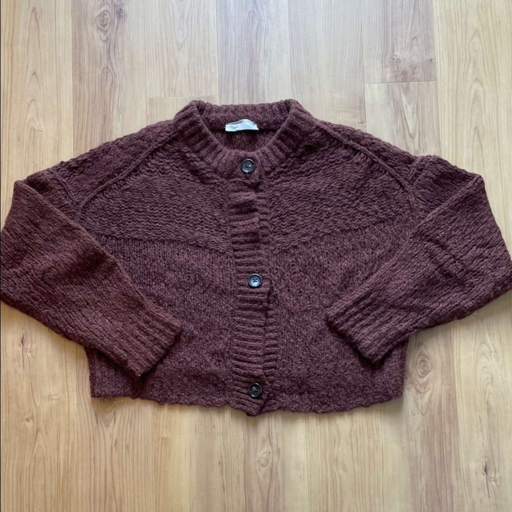 Cozy Brown Everlane Women's Cardigan in Wool Alpaca